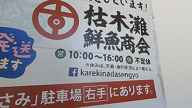gx016749.mp4_snapshot_13.41_thumb.jpg