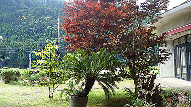 p5290416_thumb.jpg