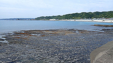 p5290432_thumb.jpg