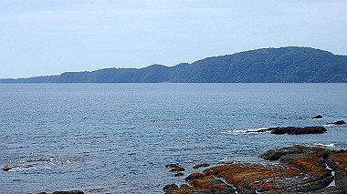 p5290435_thumb.jpg