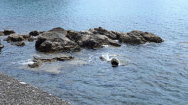 p5290445_thumb.jpg