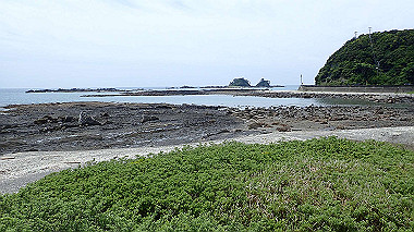 p5290458_thumb.jpg