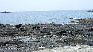 p5290460_thumb.jpg