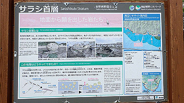 p5290461_thumb.jpg