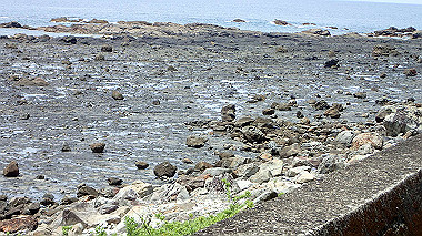 p5290464_thumb.jpg