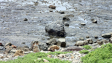 p5290465_thumb.jpg