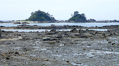 p5290466_thumb.jpg