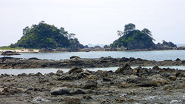 p5290467_thumb.jpg