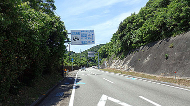 p5290474_thumb.jpg