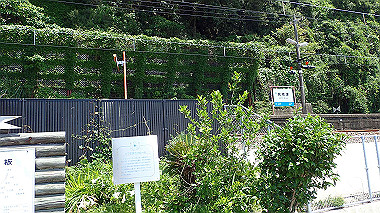 p5290476_thumb.jpg
