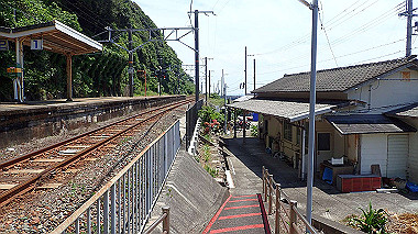 p5290481_thumb.jpg