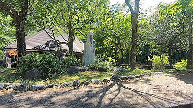 gx016541.mp4_snapshot_00.59_thumb.jpg