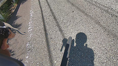 gx016547.mp4_snapshot_00.02_thumb.jpg
