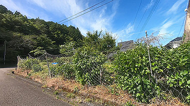 gx016548.mp4_snapshot_02.24_thumb.jpg