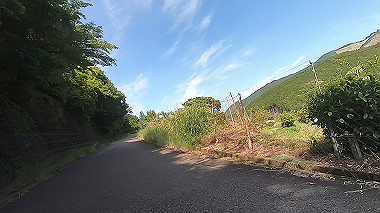 gx016548.mp4_snapshot_02.51_thumb.jpg