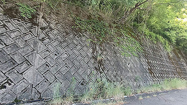 gx016548.mp4_snapshot_02.56_thumb.jpg