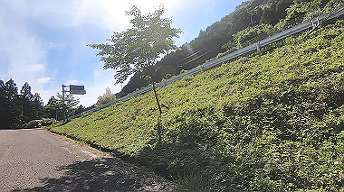 gx016548.mp4_snapshot_11.36_thumb.jpg