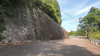 gx016550.mp4_snapshot_01.16_thumb.jpg