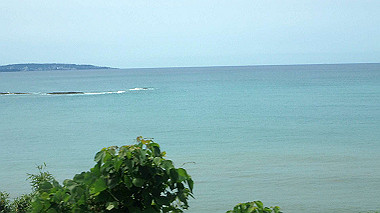 p5270019_thumb.jpg