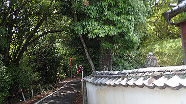 p5270034_thumb.jpg