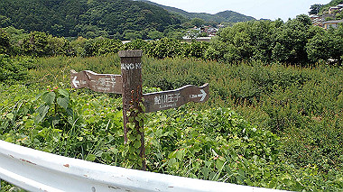 p5270035_thumb.jpg
