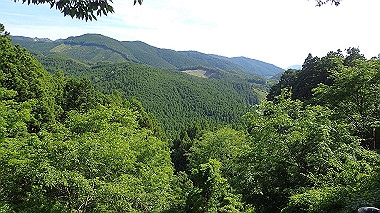 p5270106_thumb.jpg