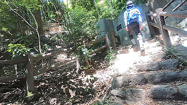 gx016767.mp4_snapshot_00.00_thumb.jpg