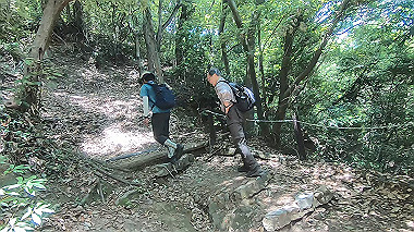 gx016770.mp4_snapshot_01.04_thumb.jpg
