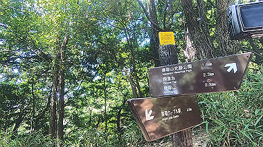 gx016770.mp4_snapshot_02.24_thumb.jpg