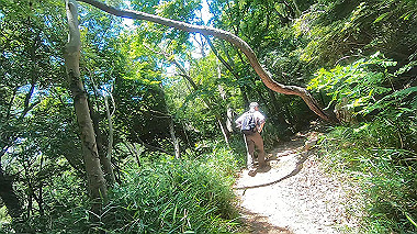 gx016771.mp4_snapshot_01.12_thumb.jpg