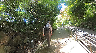 gx016773.mp4_snapshot_00.04_thumb.jpg