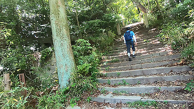 gx016773.mp4_snapshot_01.41_thumb.jpg