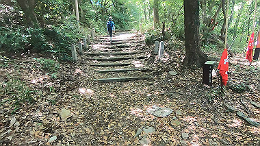 gx016773.mp4_snapshot_02.18_thumb.jpg