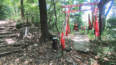 gx016773.mp4_snapshot_02.20_thumb.jpg