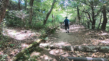 gx016773.mp4_snapshot_03.16_thumb.jpg