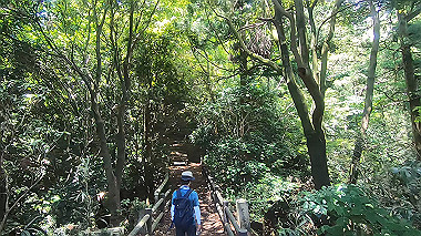 gx016774.mp4_snapshot_01.20_thumb.jpg