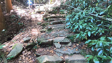 gx016774.mp4_snapshot_07.11_thumb.jpg