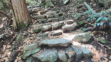 gx016774.mp4_snapshot_07.44_thumb.jpg