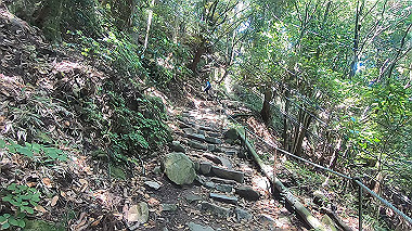 gx016774.mp4_snapshot_09.04_thumb.jpg