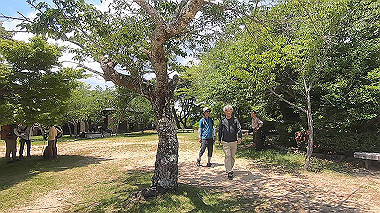 gx016775.mp4_snapshot_01.47_thumb.jpg