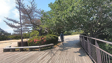 gx016777.mp4_snapshot_00.37_thumb.jpg