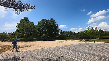gx016777.mp4_snapshot_00.50_thumb.jpg