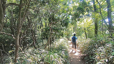 gx016779.mp4_snapshot_00.57_thumb.jpg