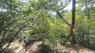 gx016779.mp4_snapshot_05.12_thumb.jpg