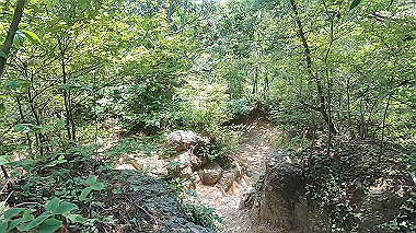 gx016779.mp4_snapshot_06.09_thumb.jpg