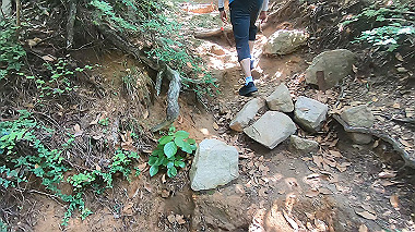 gx016780.mp4_snapshot_00.05_thumb.jpg
