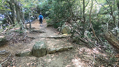 gx016780.mp4_snapshot_04.57_thumb.jpg