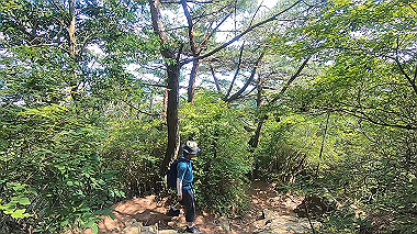 gx016781.mp4_snapshot_00.04_thumb.jpg