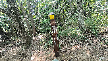gx016782.mp4_snapshot_00.02_thumb.jpg