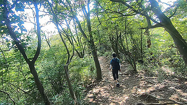 gx016782.mp4_snapshot_01.30_thumb.jpg